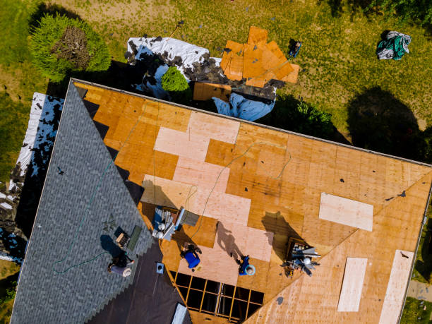 Best Flat Roof Repair Services  in Fircrest, WA