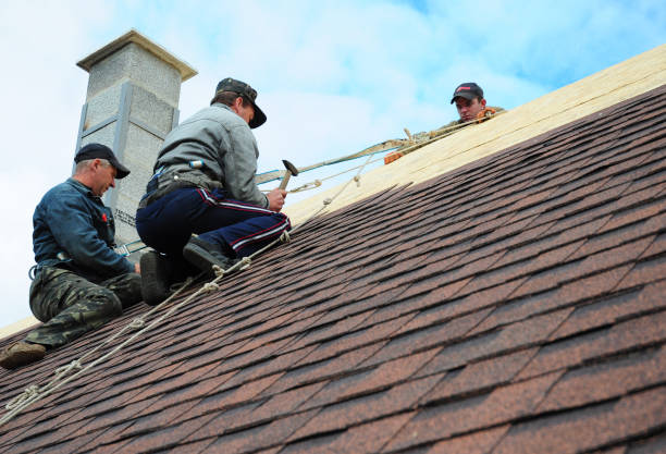 Best Roof Restoration Services  in Fircrest, WA